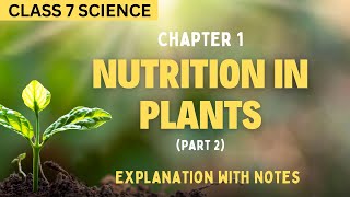 Nutrition in Plants Notes (Part 2) | Class-7 Science Chapter 1 NCERT