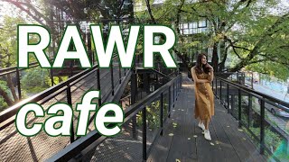 SF tv : RAWR cafe คาเฟ่สุดร่มรื่นใจกลางเมือง (BTS พระโขนง)