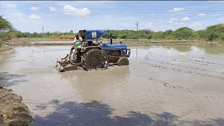 Paddy Cultivation తక్కువ ఖర్చుతో వరి పైరు సాగు విధానం