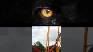 Kings Dominion Announces Pantherian as New Name of Iconic Roller Coaster