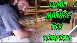 Quail manure for compost