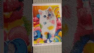 Cute cat diamond painting