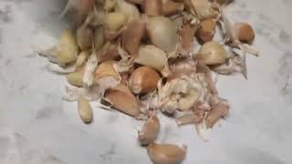 How To Peal Garlic Fast And Easy Way