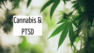 Managing PTSD Symptoms with Cannabis | Discover Marijuana