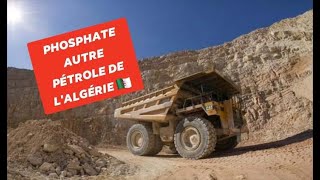 phosphate, l'Algérie deviendra l'un des principaux pays exportateurs d'engrais #algerie