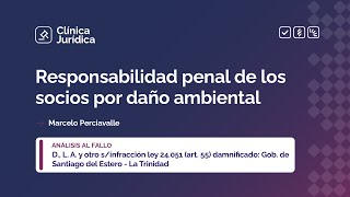 Responsabilidad penal de los socios por daño ambiental