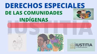 Todo lo que necesitas saber sobre los Derechos indigenas en Colombia