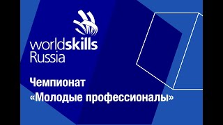 VII Открытый региональный чемпионат «Молодые профессионалы» (WorldSkills Russia) Иркутской области.