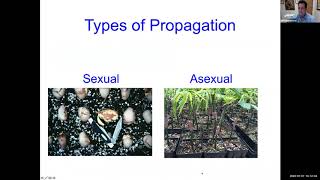 Tropical Fruit Tuesdays: Propagation by Grafting