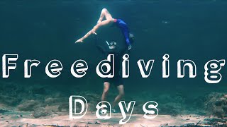 Freediving days