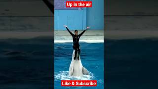 Up she goes #dolphins #youtube