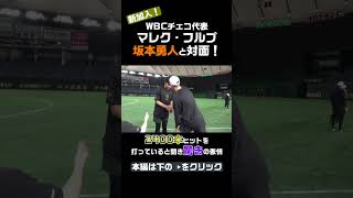 新加入 マレク・フルプ！坂本勇人と対面、ヒットの数に固まる #shorts