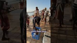 طبق سمك القرش