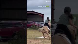 @Rides_Ponies  fail! #fypシ゚viral #horse #horsegirls #horsegirl #equestrian