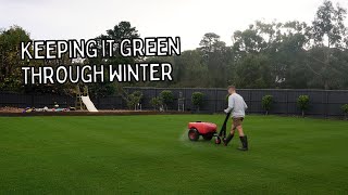 The best thing to feed your lawn in winter is..