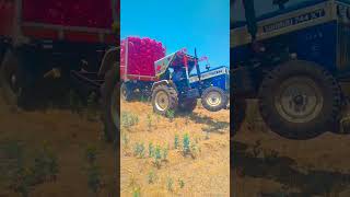 Swaraj 744 XT #mahindratractor #farmequipment #youtubeshorts  #mahindratractors #newholland3630