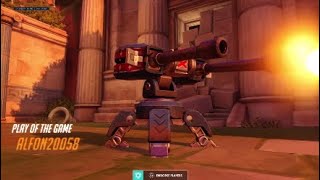 A day in the life of a Torb