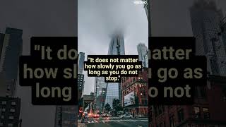 "It does not matter how slowly you go as long as you do not stop."