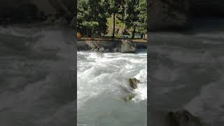 Sindh River | Sonmarg | J & K | #Shorts