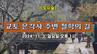 [도시숲] 일본 교토 은각사 주변 철학의 길 🌳 2024. 11. 3. 일요일 오후 1시 촬영 📽️