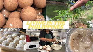 Living in the Philippines| Harvesting Sili & Chico| Cooking Macapuno Balls and Macapuno Jam ♥️