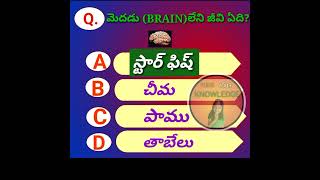 మెదడు (Brain )లేని జీవి ఏది?/INTERESTING FACTS/#factsviralvideo #gk #facts #shorts