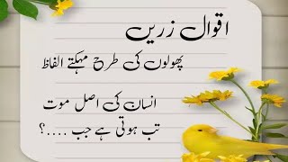 Golden Words in Urdu | Heart Touching Quotes Collection | Aqwal e Zareen | Shameer Quotes