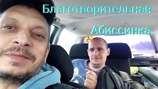 Благотворительная Абиссинская скважина для мальчика Серëжи!🙏