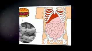 tratamiento para escherichia coli