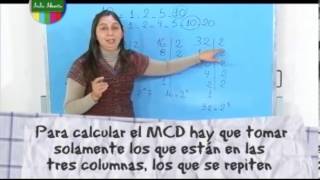 Máximo Común Divisor II Matemática 1º año