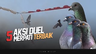 5 FINAL MERPATI KOLONG BEBAS  TERBAIK | VERSI HASIL LIPUTAN TJAN BILLY