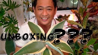 Unboxing sa maulan panahon