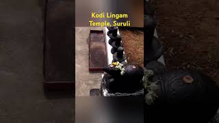 Kodi Lingam Temple, Suruli, #omnamahshivaya #devotional #100kview #spiritual #divine