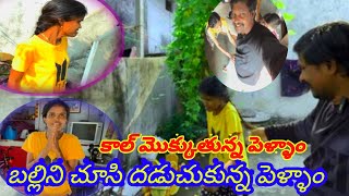 ￼ బల్లిని 🧞‍♀️చూసి దడుచుకున్న 🧞పెళ్ళాం full funny video🤪🤓😂🤓#prank #funnycomedy #rajuismartjahannvi