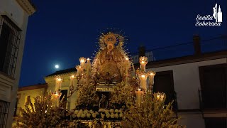 Virgen de Cuatrovitas 2024 | Calle Virgen del Rocío y Jesús del Gran Poder