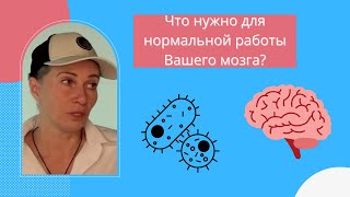 3 закона закона здорового тела | Часть 3 | Закон №1