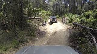 Suzuki Jimny off roading