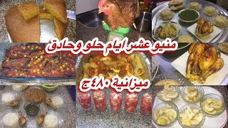 منيو ميزانية ٤٨٠ج عشرايام حلو وحادق 🌶والفراخ تربية بيتي 👌💯