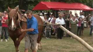 Métiers anciens cheval au tourniquet 2012