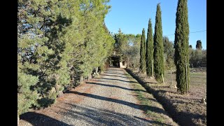 Antico casale restaurato nella zona del Montecucco Doc AR-1103