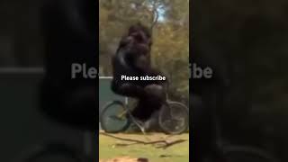 monkey funny#shortsyoutube #music #respectmoments