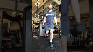 JHF Dumbbell Alternating Reverse Lunge