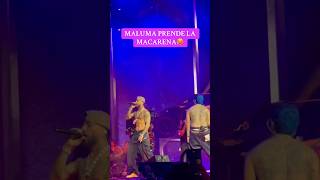 El Pretty Boy como va a hacer esooo Maluma hiciste que se caiga la Macarena🔥 #maluma #concierto