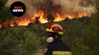 Δασικές πυρκαγιές: Τι είναι η «σολασταλγία» που προκαλεί ο καπνός