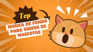 ¿Qué Sucede Cuando Combino la Música de Fondo Perfecta con Mis Videos de Mascotas?