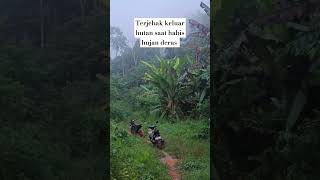 terjebak mau keluar hutan saat habis dihantam hujan deras #berkemahdihutan #videoshort #camping