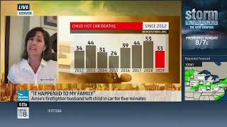 Hot Car Deaths Safe Ride 4 Kids Interview on The Weather Channel 2