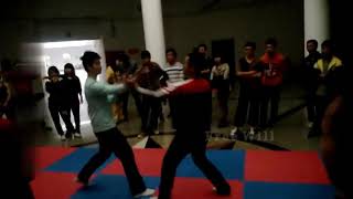 Wing Chun VS Wing Chun 8