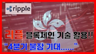 [비트코인 실시간]🔴리틀코인스쿨🔴에서 함께🔴실시간방송🔴 #비트코인