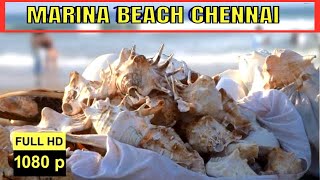 Marina Beach Chennai vlog || how to go and things to do, travel tips